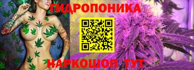 PSILOCYBIN Можга