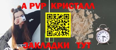PSILOCYBIN Можга